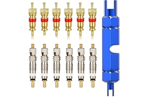 FUZVOL 13 PCS Valve Core Remover Tool Kit with Replacement Presta and Schrader Valve Core,Valve Core Remover Tool Repairing Tyre for Universal Car,Bike and Motocycle
