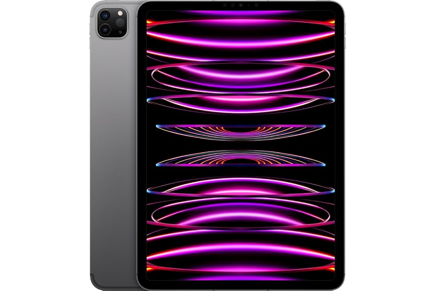 Apple 2022 11" iPad Pro (Wi-Fi, 128 GB) - Space Grau (4. Generation) (Generalüberholt)