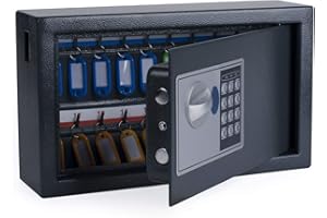 Pora Schlüsselkasten Verschiedene Größen von 20 bis 300 Schlüsselhaken (20 elektr, grau)