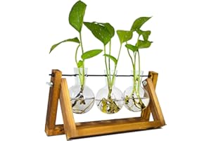 TECHSHARE Propagation Station for Plants, Terrarium for Hydroponic Plants, Plant Terrarium with Wooden Stand Personalized Gifts for Mum, Women, Valentines Day, Birthday, Christmas, Mothers Day(3 Bulb Vase)