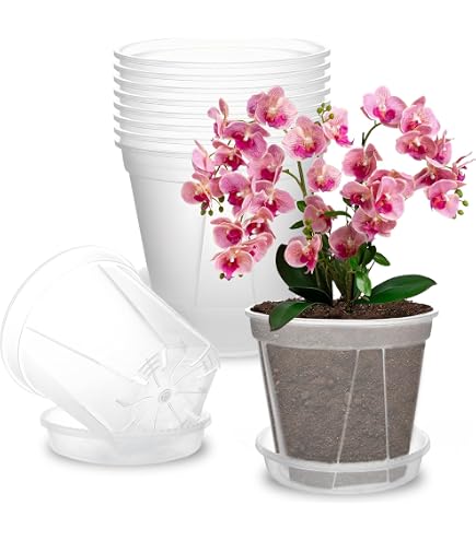 Vasi trasparenti per orchidee 19x18,5 cm (n.100 pezzi), ditta Arca