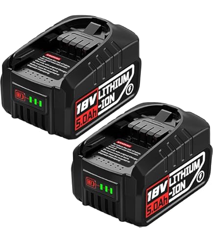 CITYORK 2X 5500mAh 18V Batterie pour Bosch PBA PSB PSR, pour 18V Green Tools House & Garden & Gardena Gloria 18VSystem AL1880CV AL1810CV AL18815CV AL1830CV (Pas pour la série Bosch Unlimited