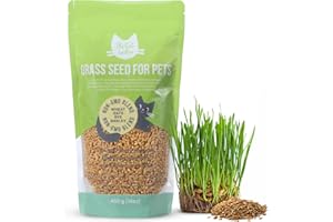 The Cat Ladies Semi di Erba per Gatti da Piantare - Commestibile per Gatti - Snack Biologico 100% Naturale - Erba di Grano Ricca di Fibre - per Gatto Domestico