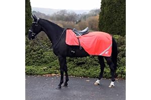 Masta Hi Viz Mesh Exercise Sheet - High-Visibility, Breathable, Summer Horse Safety Gear with Reflective Strips for Roadwork PONY Orange