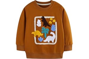 MUJOQE Jungen Sweatshirt Baumwolle Pullover Kinder Warme Langarm Shirt Activewear Tops 1-7 Jahre
