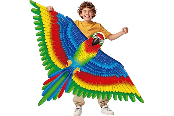 Grand cerf-volant coloré pour débutant, 133 x 96,5 cm, longue queue, poignée d'enroulement et ligne pour enfants et adultes, plage et activités de plein air