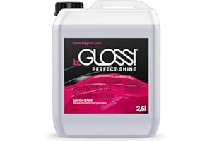 begloss brillo perfecto 2500 ml – látex polaco – la última de alto brillo brillo – el lubricante para el Polaco & cuidado de goma y látex prendas de vestir.