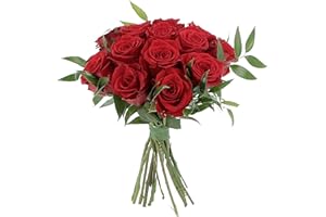KENTIS - Bouquet di Rose Rosse Vere - Rose Fresche a Stelo Lungo 50 cm a Domicilio con Biglietto Personalizzato - 12 Rose Rosse