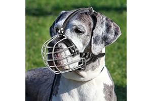 ILEPARK Museruola per Cani in Metallo con Cinghie in Pelle, Pitbull, Alano, Rottweiler, Cestello in Filo Sicuro, Traspirante, Regolabile per Cani Grandi (Argento)