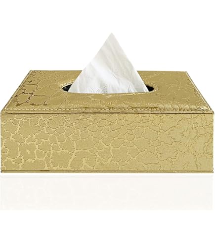 FRETONBA Boîte à Mouchoirs Rectangulaire En Acrylique, Blanche, Avec