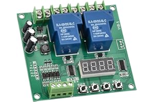 LIEBEWH Yyb-5 12V 24V Relè Timer Avanti Motore, Interruttore di polarità Inversione/Scheda di Controllo Inversione Modulo Ciclo di Temporizzazione Ritardo Due relè