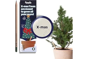 Sprout World Matite Piantabili Set di 8 | Edizione Natale | Con Fusto in Legno | Pre-temperate | Matite in Legno HB con Varietà di Semi a Tema Invernale | Regalo di Natale