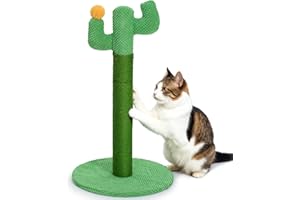 Happy & Polly Rascador para Gatos Cactus 60 cm - Poste en Cuerda de Yute Natural con Base Estable para Gatitos y Adultos en Interiores - Verde