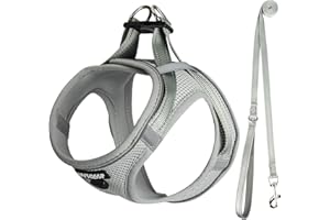 UVTQSSP Hundegeschirr Kleine Hunde mit Leine Gepolstert, Welpengeschirr, Dog Harness Hunde Geschirr Klein, Grau L