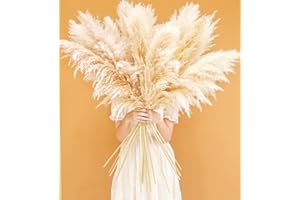BANNIFLL 10 Stück Pampas Grass groß, Pampas Grass XXL, Pampas Grass Deko Gross für Boho DekoWohnzimmer Tisch Schlafzimmer Hochzeits Badezimmer(115cm)