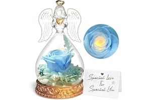 INYESKON Ewige Rose Geschenke, Ewige Rose in Engel Glaskuppel, Konservierte Blumen Handgemachte Ewige Rose für Frauen Freundin Mutter zu Valentinstag Weihnachten Geburtstag (Blau), 1 stück