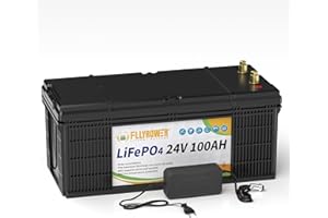 FLLYROWER 24 V 100 Ah Lifepo4 Lithium Battery with BMS Low Temperature 18500 Deep Cycles 2560 Wh 100 Ah Lithium Battery for Motorhome, Solar System, Towing Motor, Household, Solar Panel Kit, Camping