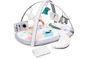 Lupantte 7 in 1 Baby Play Mat, Baby Activity Gym with 2 Detachable Washable Mat for Infant,Tummy Time Mat with 6 Toys for Early Education Develop Motor&Cognition, Thicker Non-Slip, Gift