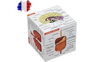 KITS OF MEDICINE Cube d'étude d'anatomie humaine EN FRANÇAIS | Étudiez 9 parties du corps humain | Cube modèle d'anatomie | Cadeau idéal pour les infirmières et les étudiants en médecine
