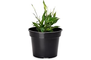 ‎GARRONDA Garronda Blumentopf Kunststoff Pflanztopf rund Kräutertopf Anzuchttöpfe Blumentopf Schwarz für Innen und Aussen 31cm GD-0025 (Schwarz, ⌀ 31 cm H 24 cm)