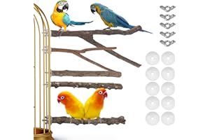 Geboor 5Pcs Wood Bird Perch Parrot Perches for Cage Stand Set Parrot Stand Branches Fork Perch Rod Stand for Small Parakeets Budgies Cockatiels Conure Lovebirds
