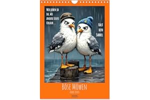 ‎CALVENDO Böse Möwen (Wandkalender 2026 DIN A4 hoch), CALVENDO Monatskalender: Für Alle, die die Nordsee lieben - und für Alle, die ein kleines bisschen böse sindd (CALVENDO Spass)