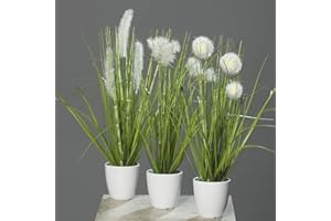 mucplants Kunstpflanze Gras im weißen Topf 3 Stück Höhe 38cm Grün/Creme Kunstgras Ziergras Tischdekoration