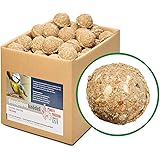 Paul´s Mühle Ganzjahresknödel mit Insekten und Trockenfrüchten, ohne Netz ohne Folie, 100 Stück