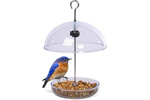 JACOBI JAYNE Comedero para pájaros Transparente con Forma de cúpula de Lluvia de 15 cm con Texto en inglés I Love Robins Rellena con Semillas de pájaros o Gusanos de Comida.