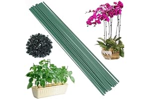 HMYCL Pflanzenstütze, Pflanzenstäbe, 20 Stück Pflanzenhalter 30 cm, mit 20 Orchideen-Clips, Rankhilfe Zimmerpflanzen, Grüne BlumenstäBchen, für Haus Garten Pfingstrosen, Rosenpflanzen, Klettern