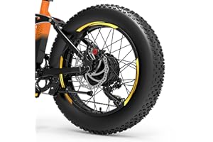 DualColorStampe Adesivi Cerchi Bici FAT BIKE 20'' Pollici Ruota Bici accessori Fat bike MTB Stickers Cerchi - B0089 (Oro 91)