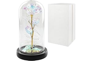 WEEYIN 24K Galaxy Rose Regalo per la Festa Della Mamma per Mamma,La Bella e Bestia Rose in Cupola di Vetro Rose Artificiali per Mamma Donne Compleanno Anniversario, Regali Natale