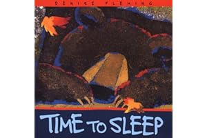 Time to Sleep (An Owlet Book)