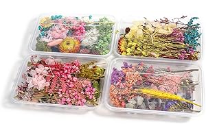 OENOTHERA 4 Cajas Juego De Flores Secas, Flores Secas Naturales, Flores Secas Mezcladas, Flores Seca Bricolaje, para Álbumes De Recortes, Decoración Tarjetas, Fabricación De Artesanías, Color Aleatorio