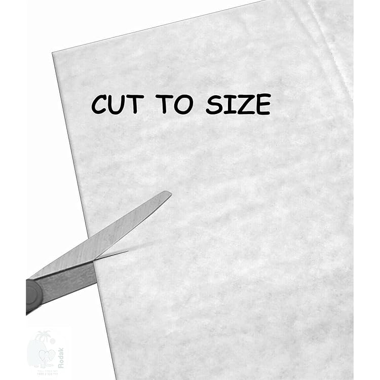 Top more than 70 euroclean 2000 dust bag best in.cdgdbentre