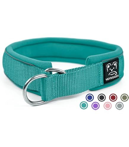 Anny-X annyx Zugstopphalsband Halsband Hund Fun braun/Bernstein (7) :  Amazon.de: Haustier