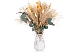 Cirulli Bouquet de Flores secas,decoración Bohemia.Decoración Natural para salón,Pampas secas Decoracion Grandes, Flores secas para Dormitorio y Mesa DIY, decoración para el hogar en Tonos Beige