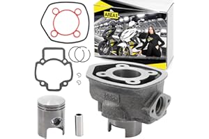 Area1 Cilindro di ricambio 50ccm 2T LC 5 angoli compatibile con NRG mc2+3, Power/adatto per SR50, R, Factory/adatto per Runner DD, DT, SP, Purejet, DNA/adatto per