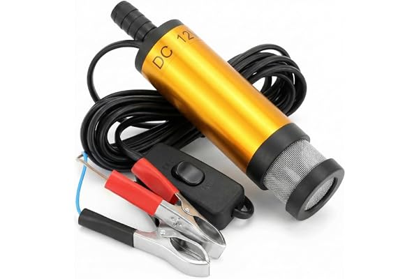QWORK® Pompe à eau 12V 38MM, pompe diesel avec clip, acier inoxydable, cordon d'alimentation 3M, pour diesel, kérosène, eau