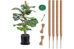 RYHX Tutor Monstera,4 Piezas Tutores para Plantas,64CM Poste de Musgo Plegable para Plantas,Tutores para Plantas Trepadoras Adecuado para Interior Plantas,con Velcro, Cuerda de Yute y Etiqueta