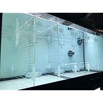 PH PandaHall Aquarium-Trennwand 30x25cm - Acryl Mit Saugnäpfen Für Fisch-Trennung