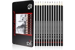 LAMXD 12 Matite da Disegno, Matita da Schizzo 8B 7B 6B 5B 4B 3B 2B B HB F H 2H