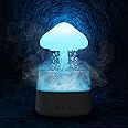 Riecin Rain Cloud Humidifier Water Drip with Adjustable LED Lights White Noise Humidification Desk Fountain Bedside Sleeping Relaxing Mood (White)