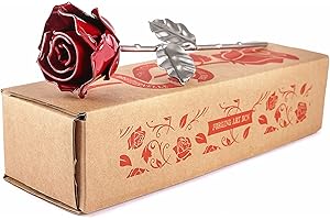 Forging Art Bcn® Rosa Eterna de Hierro Forjada a Mano- Regalo de San Valentín, Día de la Madre, Bodas de hierro (6 aniversario) (Roja/Plata)