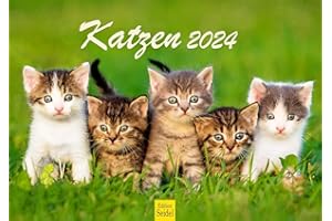‎EDITION SEIDEL Edition Seidel Premium Kalender Katzen 2024 Format DIN A4 Wandkalender Katzenkalender Haustiere Kätzchen Katze Kater Kitten