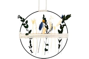 JABNOW Trockenblumen Kranz, 25cm Metallring mit Trockenblumen Deko, Hängende Natur Türkranz Trockenblumen, DIY Blumenkranz Dekoring für Wohnzimmer Wand Fenster Tür Dekoration
