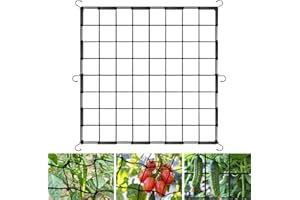 OFFCUP Grow Tent Trellis Netting 80 * 80cm, Heavy-Duty Elastic Plant Net with 6 Steel Hooks, Hydroponic Plant Support Garden Netting Mesh for Gardening Indoor Outdoor Plant