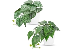 BTSD-home 2Pcs Small Fake Plants Artificial Mini Faux Plants for Bathroom Office Desk Shelf Table Accessories Decor Indoor
