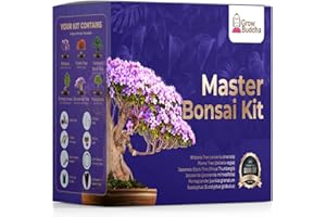 GROW BUDDHA Master Bonsai Kit - Bonsai Plant Growing Kit - Professional Growing and Styling Bonsai Set - Japanese Bonsai - Become Bonsai Master - Ideal Bonsai Tree Seed Kit for Indoor Garden Gardening