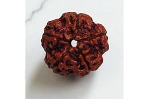 CRAFTSLOOK Rudraksha (Elaeocarpus ganitrus) Rudraksha Seeds Loose Pearls Original & Lab Certified - Chakra Healing Spiritual and Healing Product - Almighty Genuine Guarantee (5 Mukhi Rudraksha)